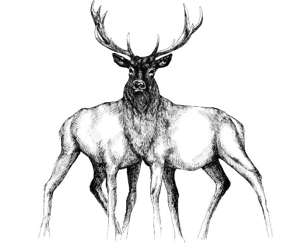 The Deer is the restaurant symbol