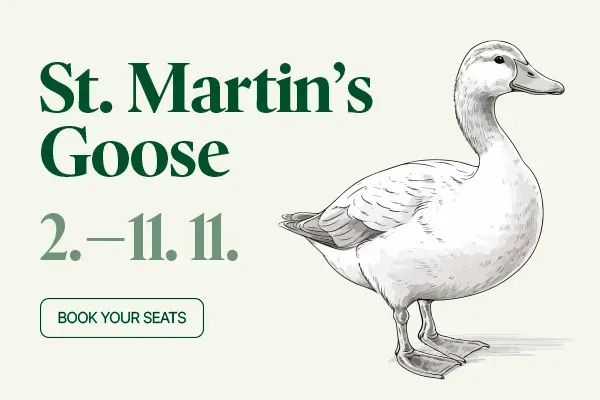 St. Martin's Goose
