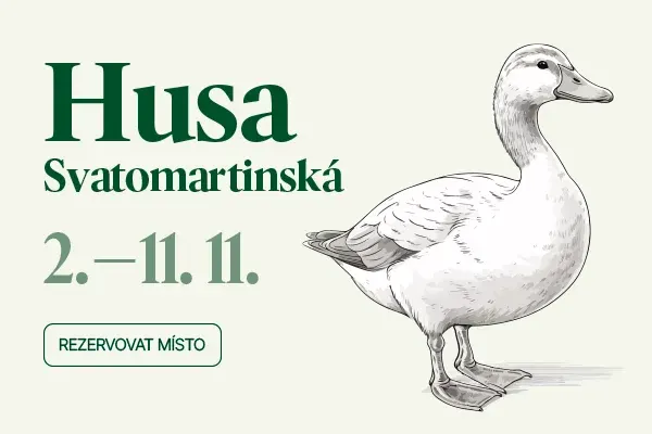 Svatomartinská husa